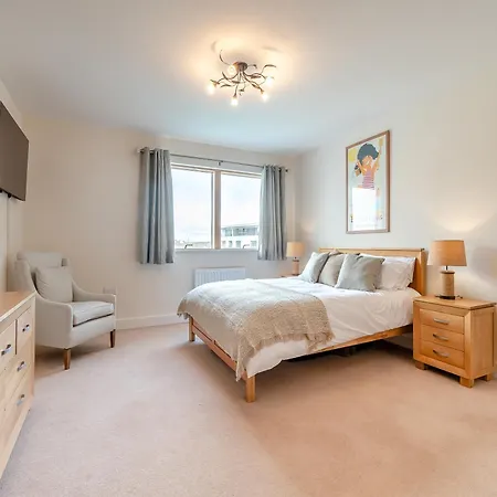 Seagull * 스카버러