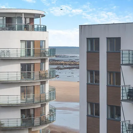 Seagull 스카버러