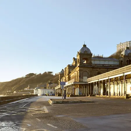 Seagull * Scarborough